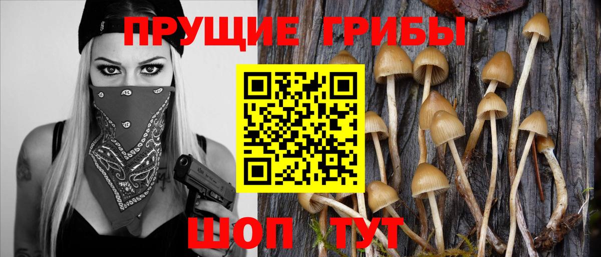 Псилоцибиновые грибы мухоморы Нижневартовск