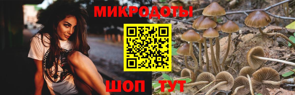 где найти   Вход с VPN  Нижневартовск  Галлюциногенные грибы GOLDEN TEACHER 